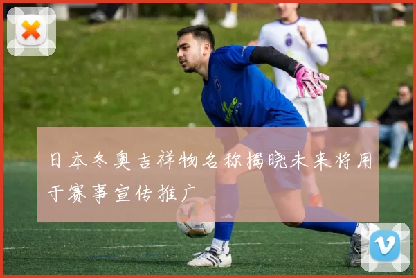 日本冬奥吉祥物名称揭晓未来将用于赛事宣传推广
