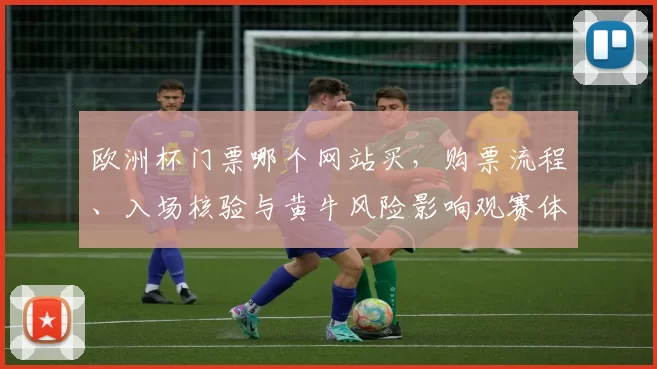 欧洲杯门票哪个网站买,购票流程、入场核验与黄牛风险影响观赛体验