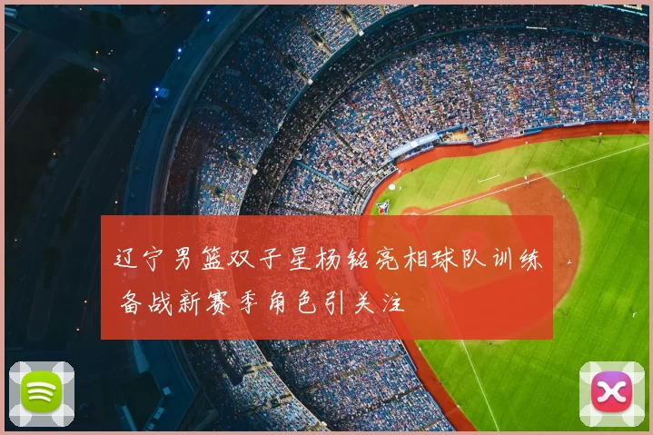 辽宁男篮双子星杨铭亮相球队训练 备战新赛季角色引关注