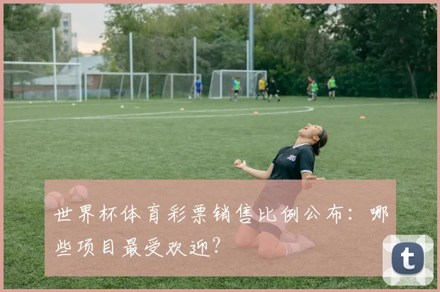 世界杯体育彩票销售比例公布：哪些项目最受欢迎？