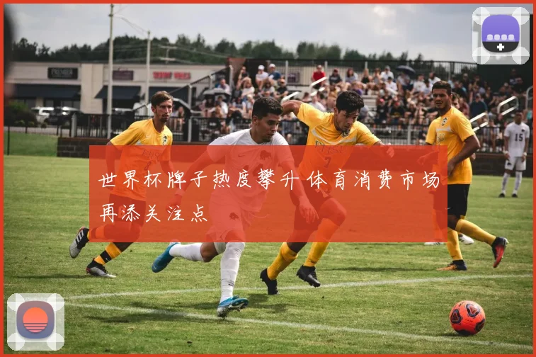 世界杯牌子热度攀升 体育消费市场再添关注点