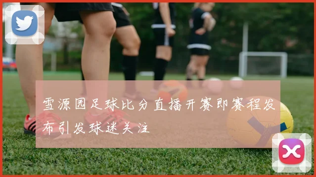 雪源园足球比分直播开赛即赛程发布引发球迷关注