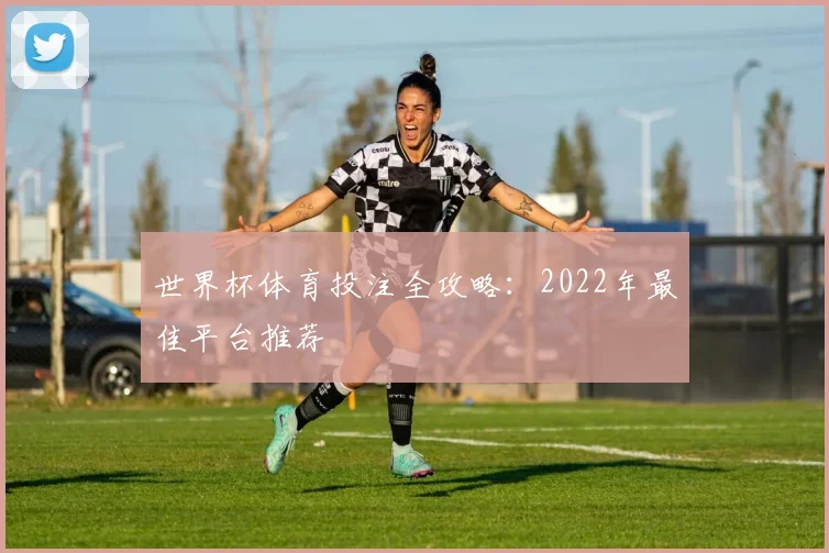 世界杯体育投注全攻略：2022年最佳平台推荐