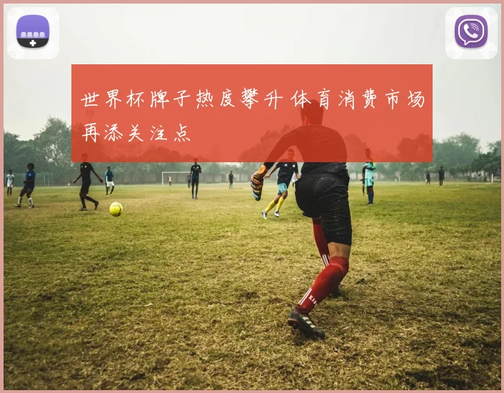 世界杯牌子热度攀升 体育消费市场再添关注点