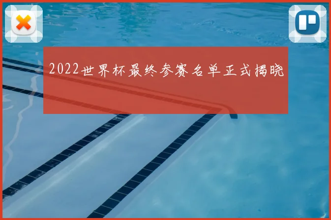 2022世界杯最终参赛名单正式揭晓