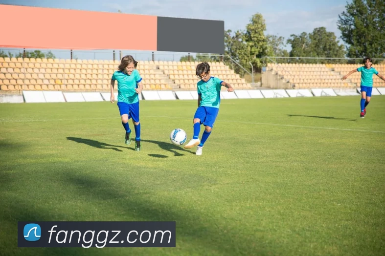 博盈体育app正式版 - (中国)官方网站APP 封面图